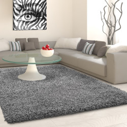 Hoogpolig tapijt, poolhoogte 3 cm, effen grijs