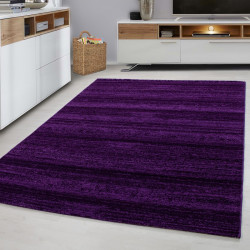 Diseño de sala de estar para jóvenes alfombra motivo de pared a cuadros  Plus 8000 violeta