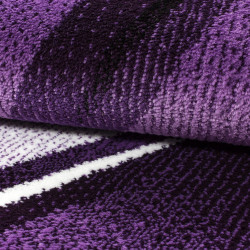 Modern designer living room rug Parma 9210 purple