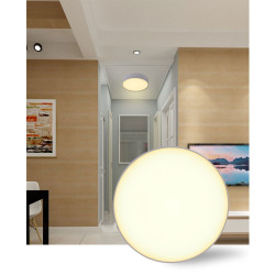Plafonnier LED Basic White - spot en saillie - spot de plafond - moderne - blanc - (24W blanc chaud)