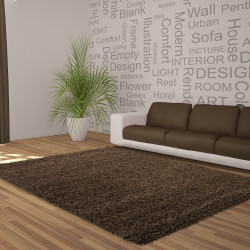 Shaggy carpet plain color pile height 5cm brown
