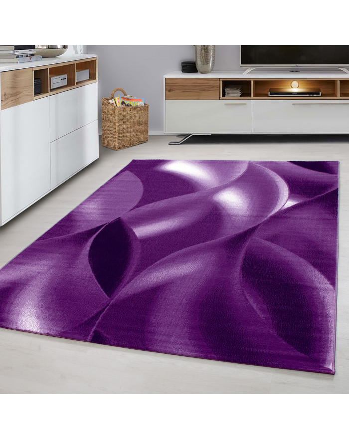 Carpet modern living room...
