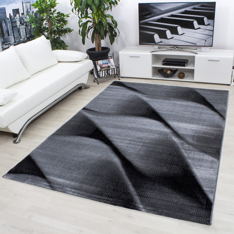 Modern Designer Living Room Carpet Parma 9240 Black,Coursera Graphic Design Assignment 1